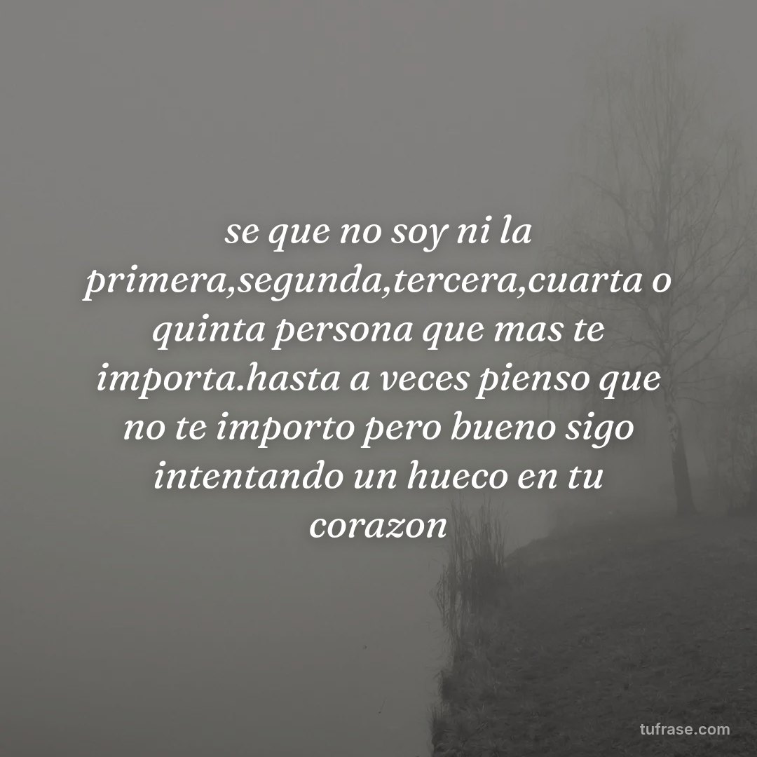 se que no soy ni la primera,segunda,tercera,cuarta o quinta persona que mas te importa.hasta a veces pienso que no te importo pero bueno sigo intentando un hueco en tu corazon