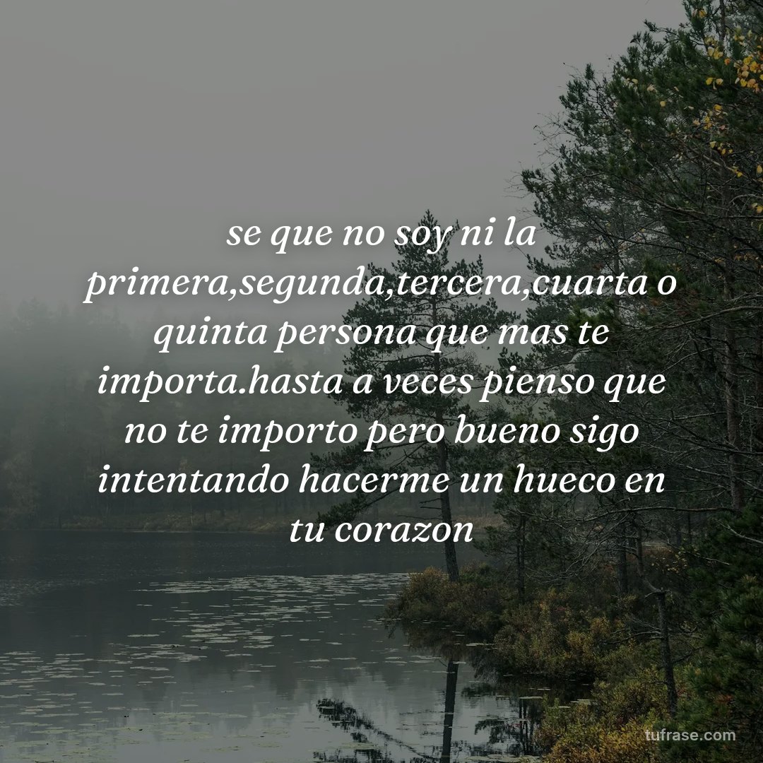 se que no soy ni la primera,segunda,tercera,cuarta o quinta persona que mas te importa.hasta a veces pienso que no te importo pero bueno sigo intentando hacerme un hueco en tu corazon
