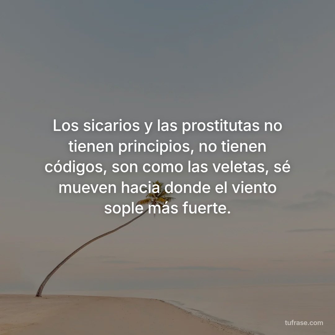 Los sicarios y las prostitutas no tienen principios, no tienen códigos, son como las veletas, sé mueven hacia donde el viento sople más fuerte.