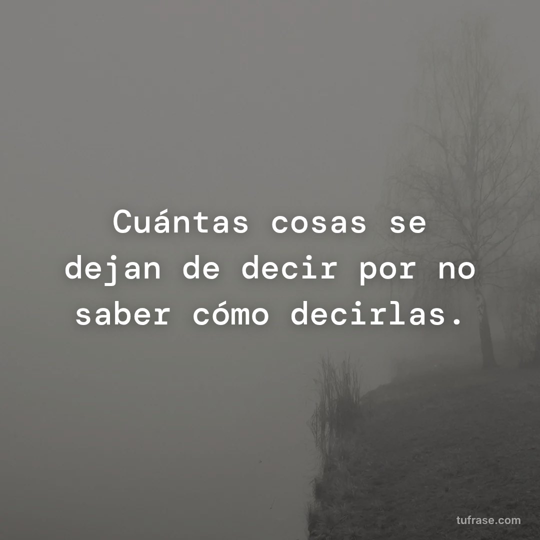 Cuántas cosas se dejan de decir por no saber cómo decirlas.