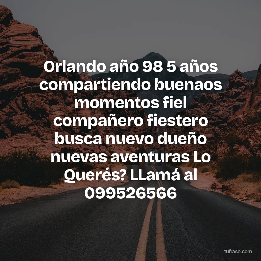 Orlando año 98 5 años compartiendo buenaos momentos fiel compañero fiestero busca nuevo dueño nuevas aventuras Lo Querés? LLamá al 099526566
