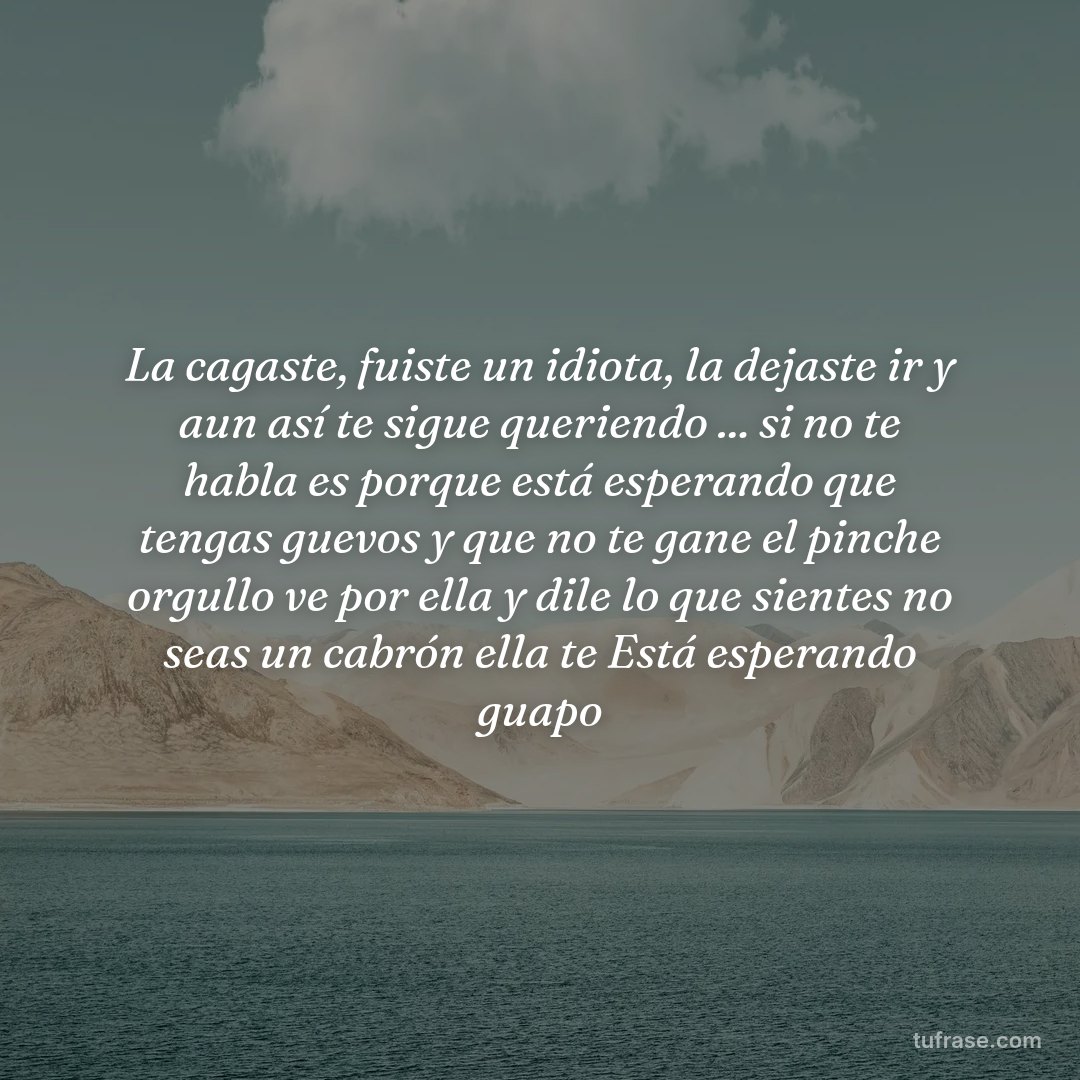 La cagaste, fuiste un idiota, la dejaste ir y aun así te sigue queriendo ... si no te habla es porque está esperando que tengas guevos y que no te gane el pinche orgullo ve por ella y dile lo que sientes no seas un cabrón ella te Está esperando guapo