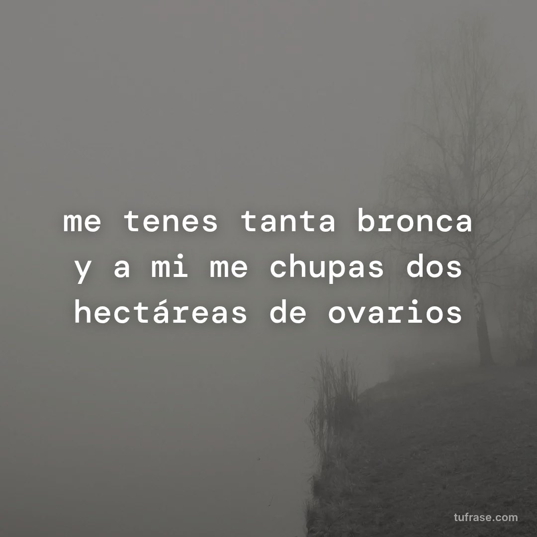 me tenes tanta bronca y a mi me chupas dos hectáreas de ovarios