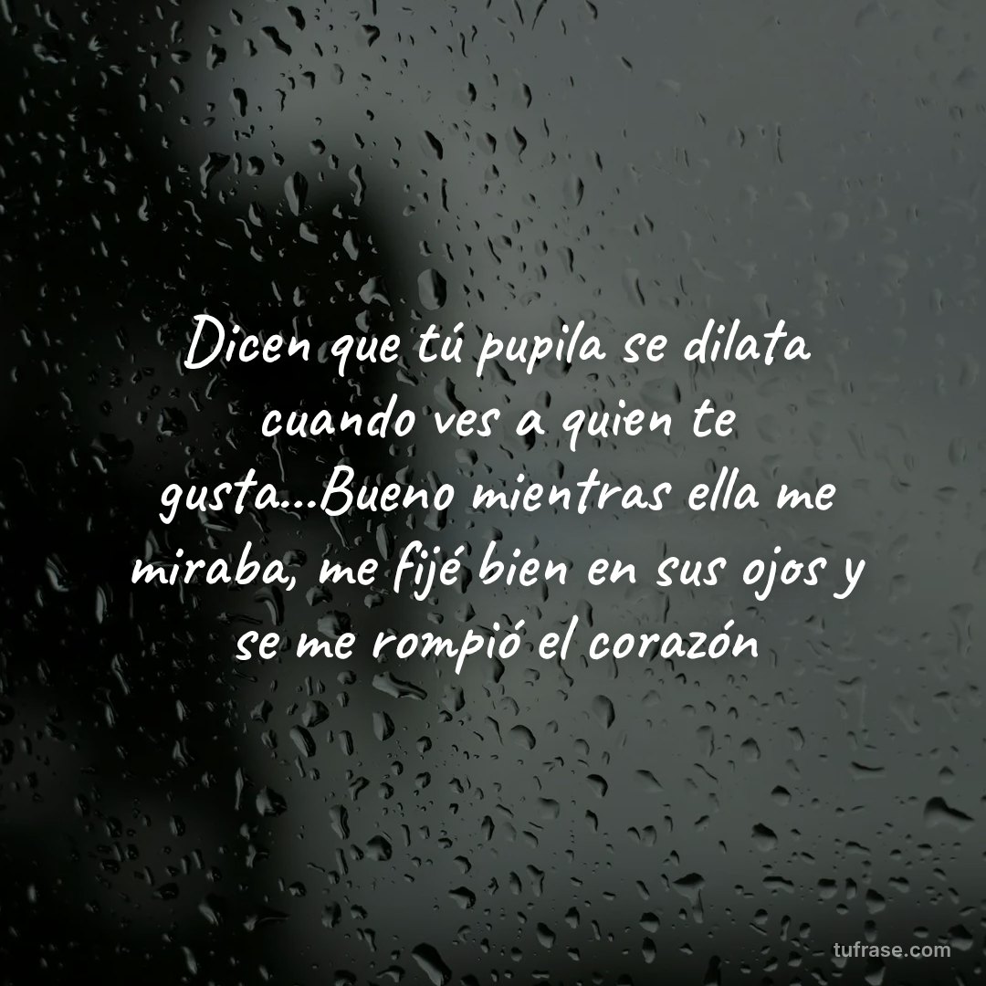 Dicen que tú pupila se dilata cuando ves a quien te gusta...Bueno mientras ella me miraba, me fijé bien en sus ojos y se me rompió el corazón