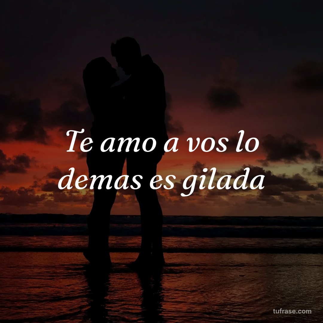 Te amo a vos lo demas es gilada