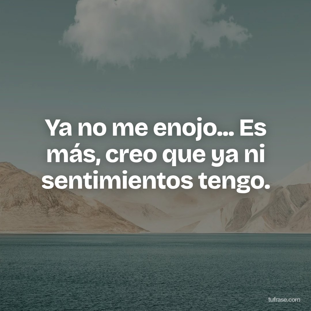Ya no me enojo... Es más, creo que ya ni sentimientos tengo.