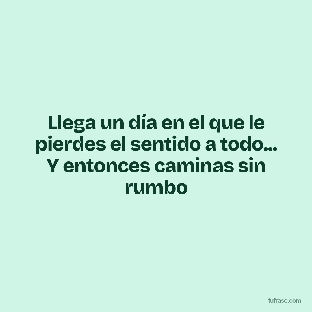 Llega un día en el que le pierdes el sentido a todo... Y entonces caminas sin rumbo