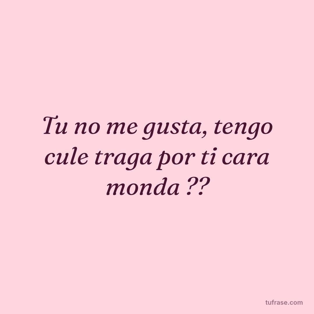 Tu no me gusta, tengo cule traga por ti cara monda ??