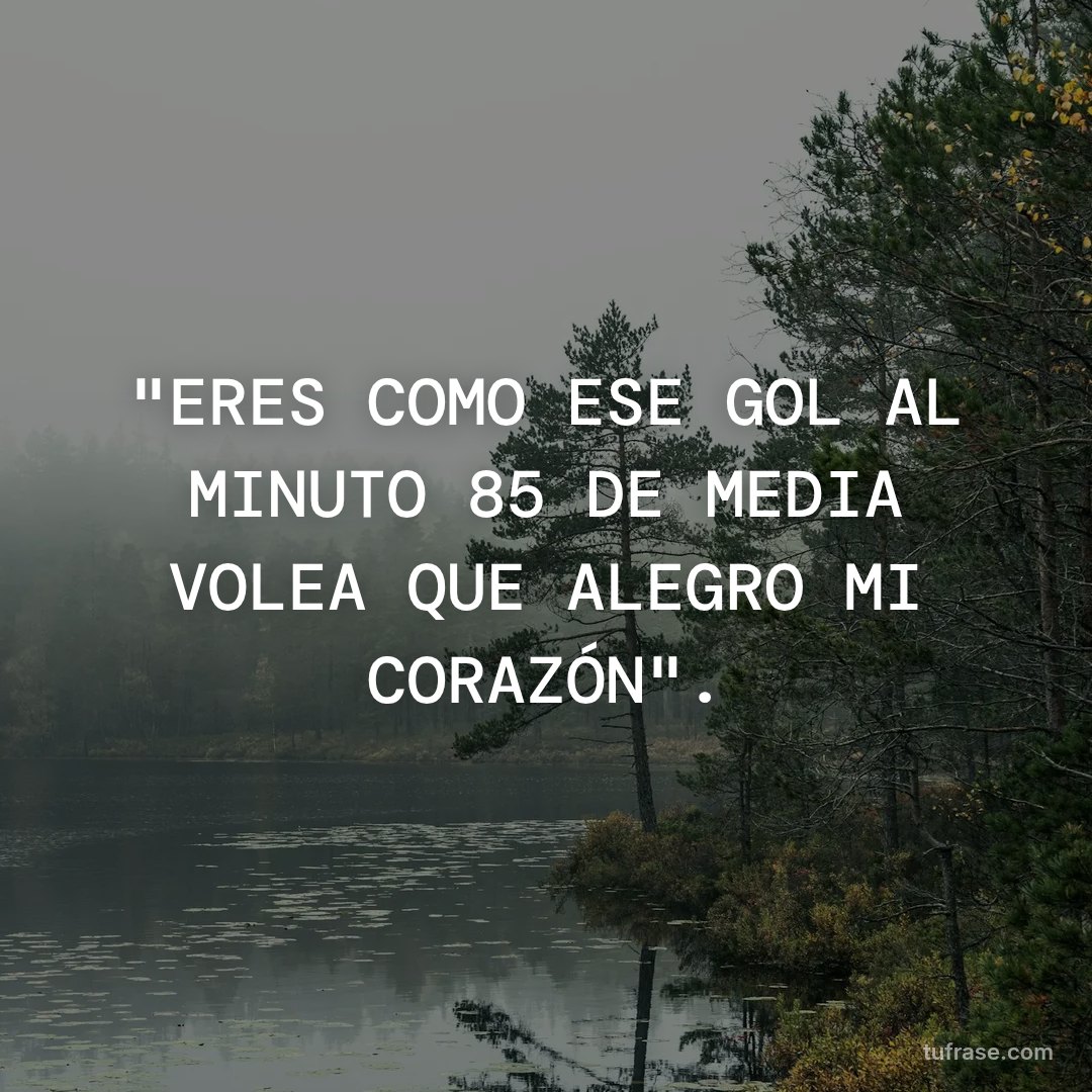 "ERES COMO ESE GOL AL MINUTO 85 DE MEDIA VOLEA QUE ALEGRO MI CORAZÓN".