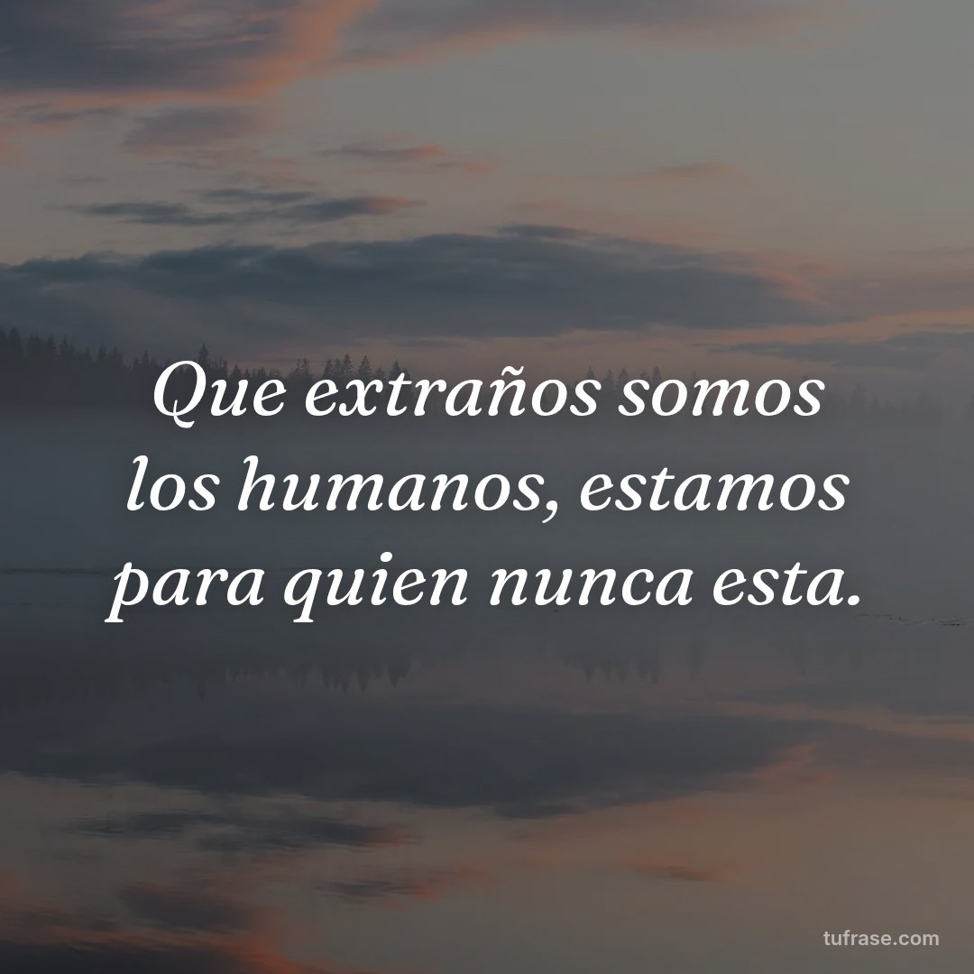 Que extraños somos los humanos, estamos para quien nunca esta.