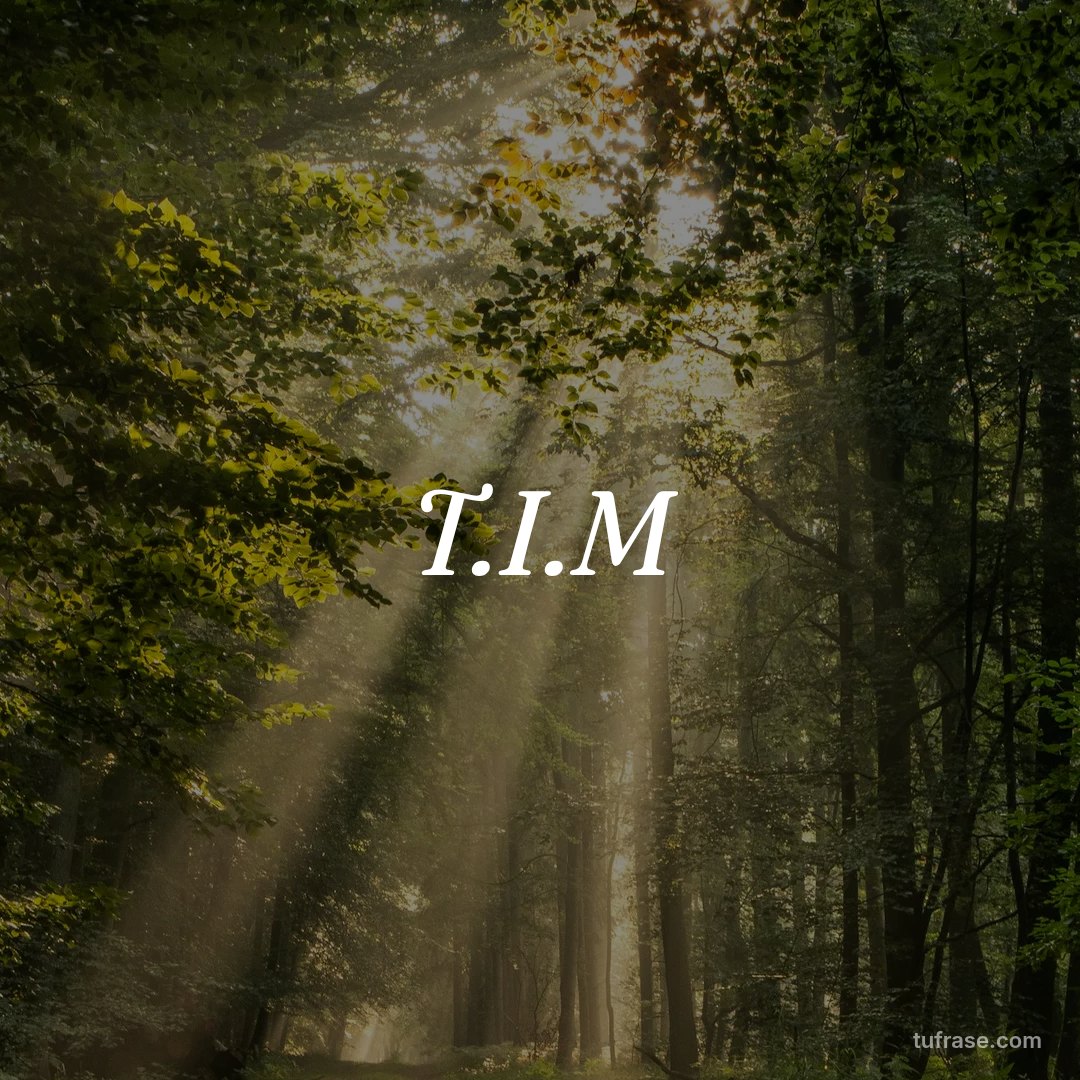 T.I.M