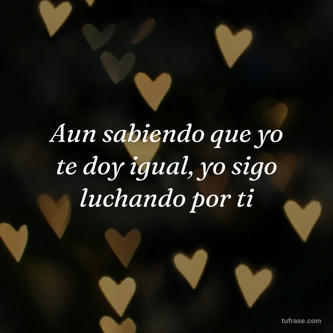 Aun sabiendo que yo te doy igual, yo sigo luchando por ti