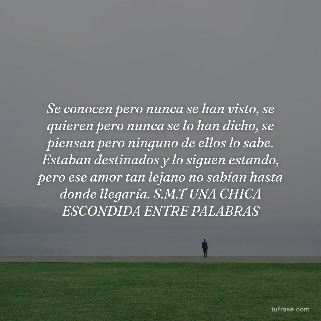 Se conocen pero nunca se han visto, se quieren pero nunca se lo han dicho, se piensan pero ninguno de ellos lo sabe. Estaban destinados y lo siguen estando, pero ese amor tan lejano no sabían hasta donde llegaría. S.M.T UNA CHICA ESCONDIDA ENTRE PALABRAS