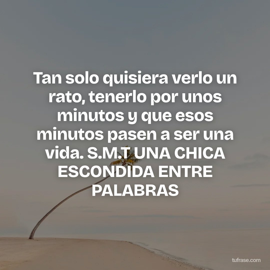 Tan solo quisiera verlo un rato, tenerlo por unos minutos y que esos minutos pasen a ser una vida. S.M.T UNA CHICA ESCONDIDA ENTRE PALABRAS