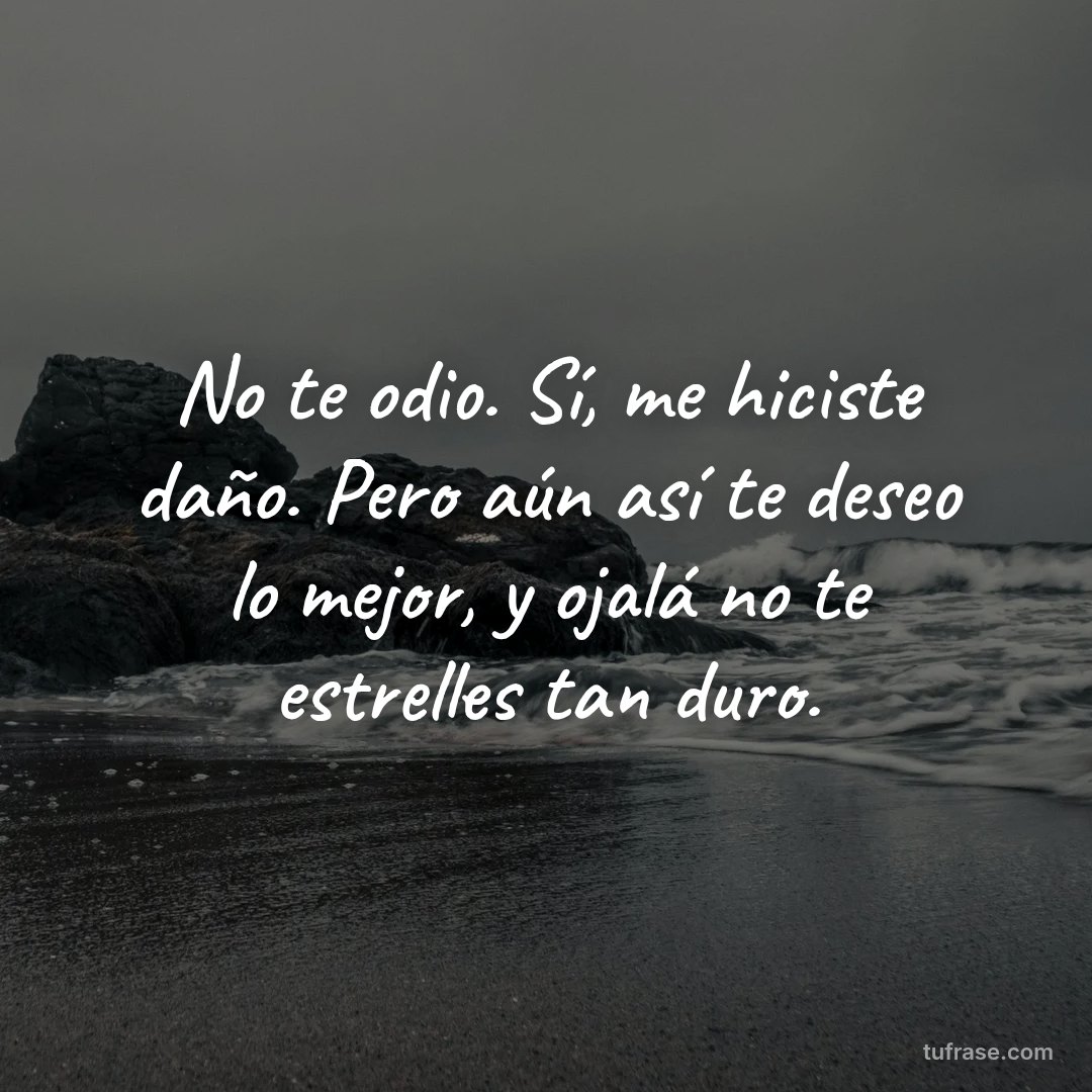 No te odio. Sí, me hiciste daño. Pero aún así te deseo lo mejor, y ojalá no te estrelles tan duro.