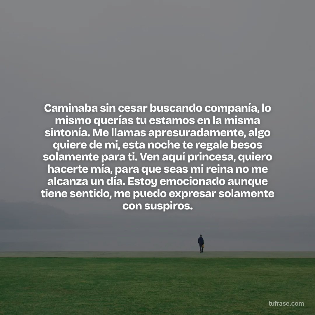 Caminaba sin cesar buscando companía, lo mismo querías tu estamos en la misma sintonía. Me llamas apresuradamente, algo quiere de mi, esta noche te regale besos solamente para ti. Ven aquí princesa, quiero hacerte mía, para que seas mi reina no me alcanza un día. Estoy emocionado aunque tiene sentido, me puedo expresar solamente con suspiros.