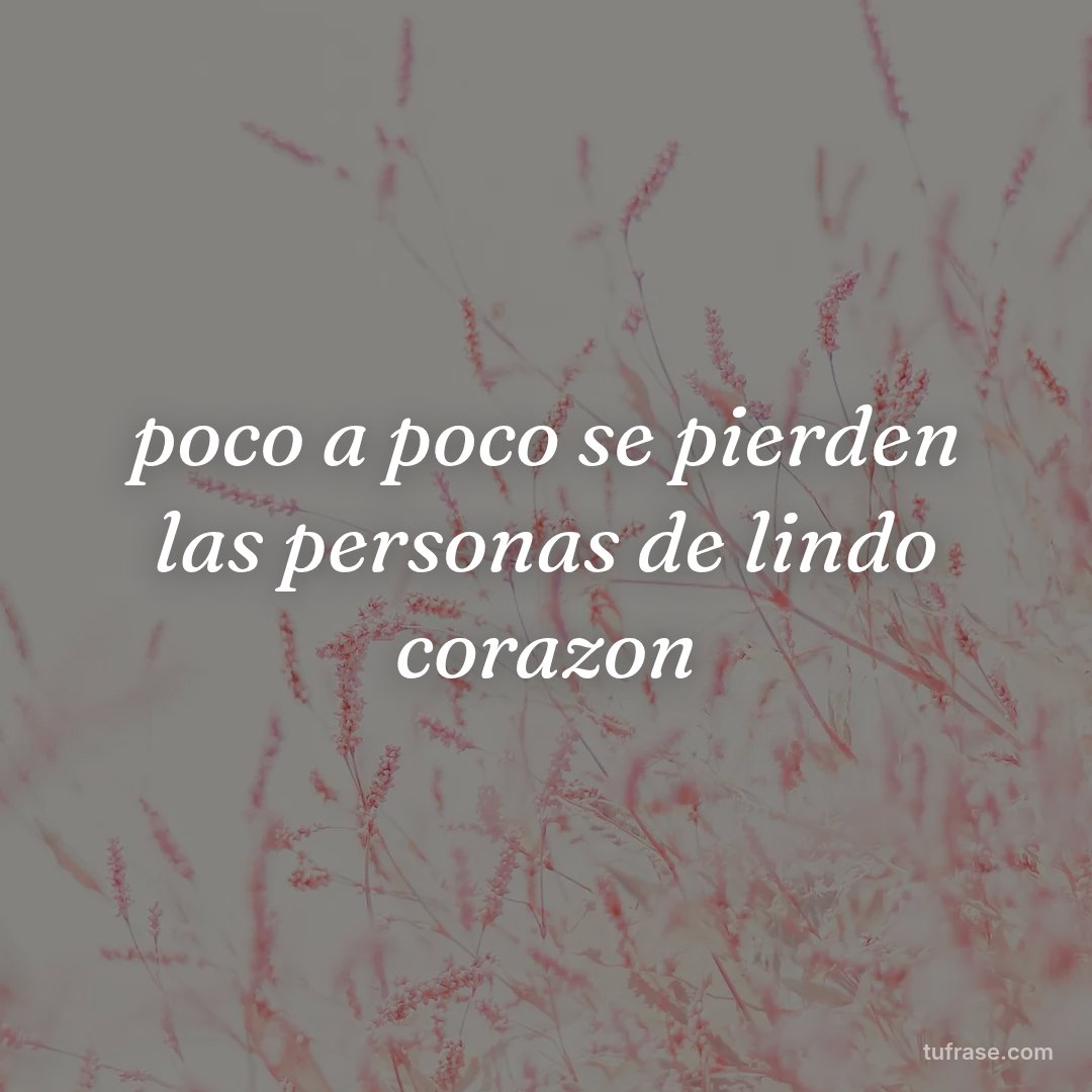 poco a poco se pierden las personas de lindo corazon