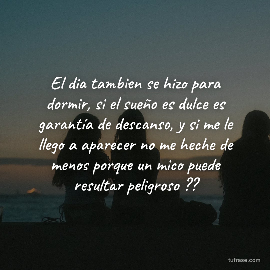 El dia tambien se hizo para dormir, si el sueño es dulce es garantía de descanso, y si me le llego a aparecer no me heche de menos porque un mico puede resultar peligroso ??