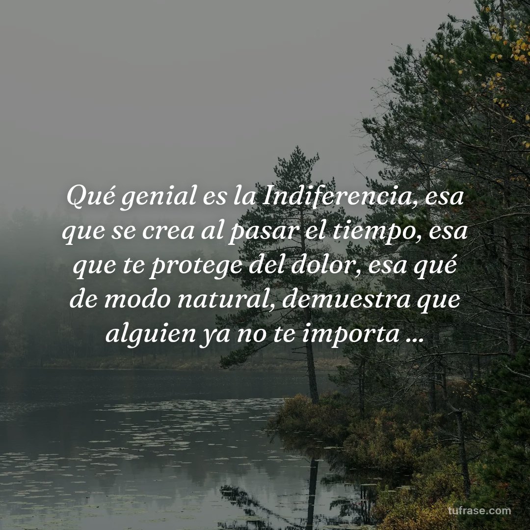 Qué genial es la Indiferencia, esa que se crea al pasar el tiempo, esa que te protege del dolor, esa qué de modo natural, demuestra que alguien ya no te importa ...