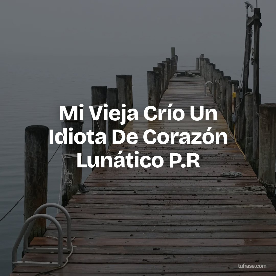 Mi Vieja Crío Un Idiota De Corazón Lunático P.R
