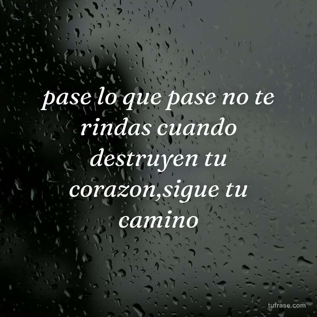 pase lo que pase no te rindas cuando destruyen tu corazon,sigue tu camino