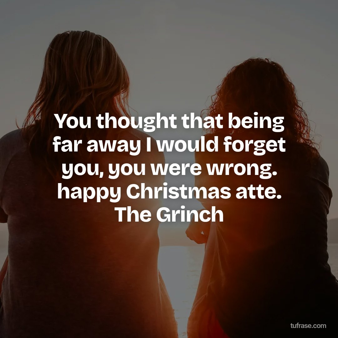 You thought that being far away I would forget you, you were wrong. happy Christmas atte. The Grinch