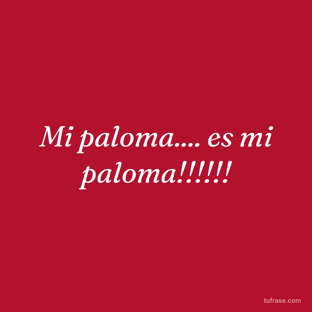 Mi paloma.... es mi paloma!!!!!!