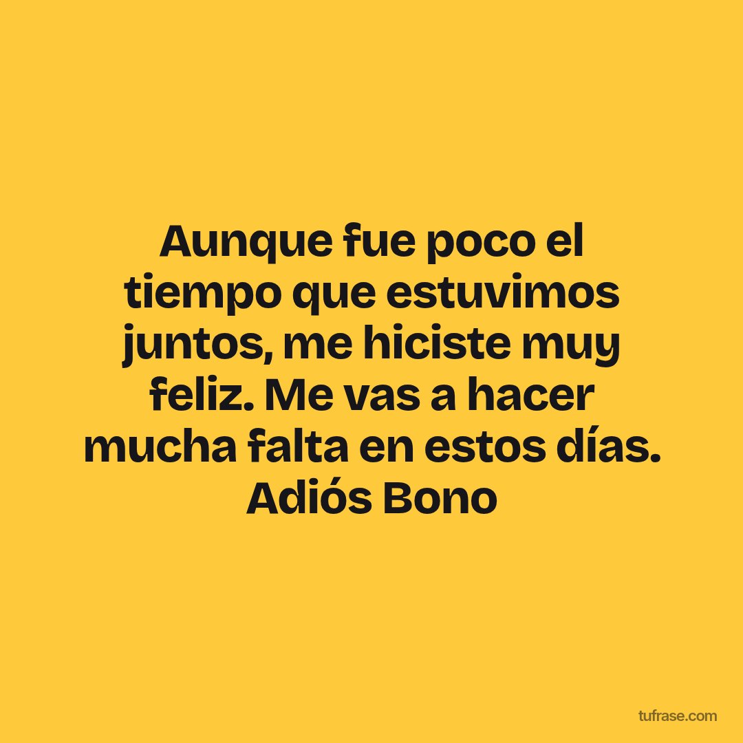 Aunque fue poco el tiempo que estuvimos juntos, me hiciste muy feliz. Me vas a hacer mucha falta en estos días. Adiós Bono