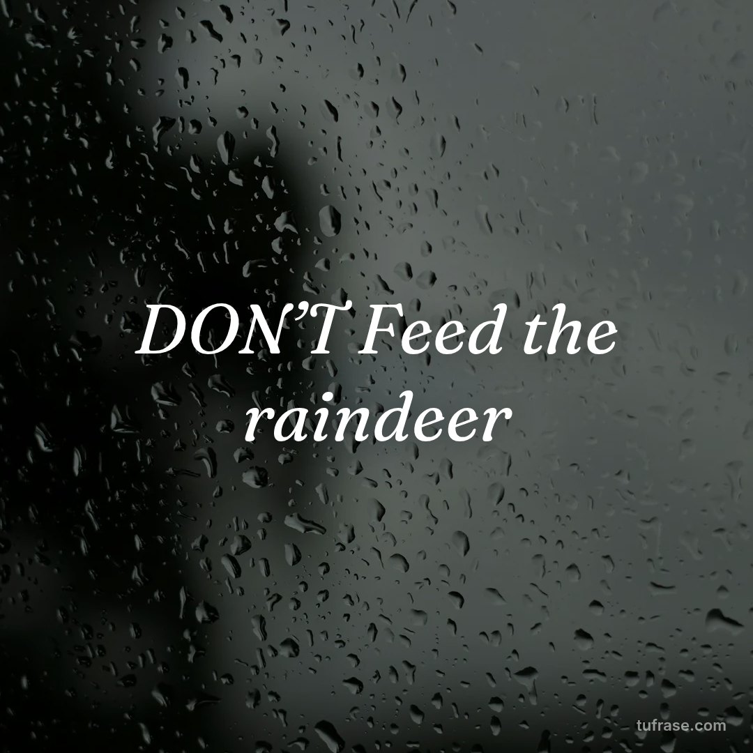 DON’T Feed the raindeer