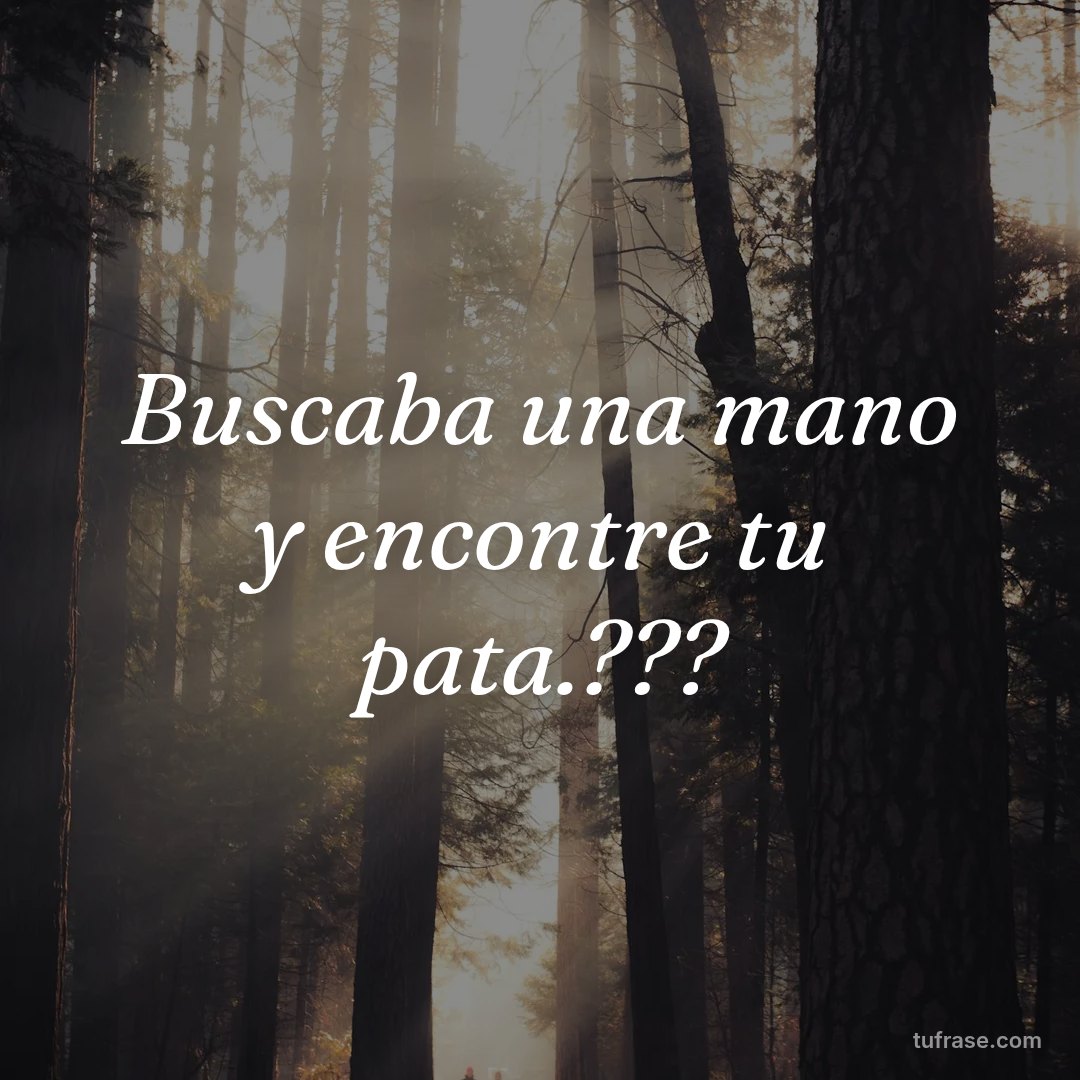 Buscaba una mano y encontre tu pata.???