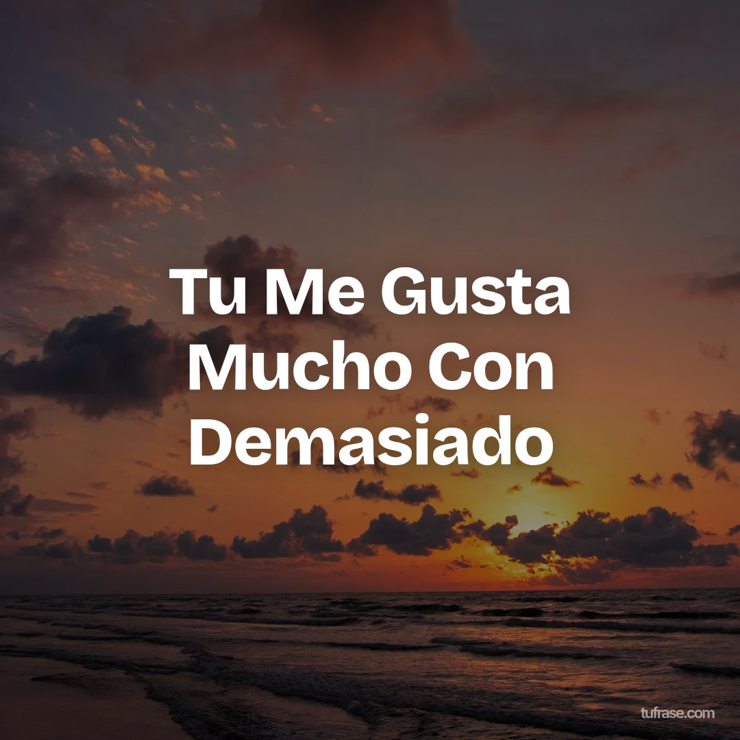 Tu Me Gusta Mucho Con Demasiado