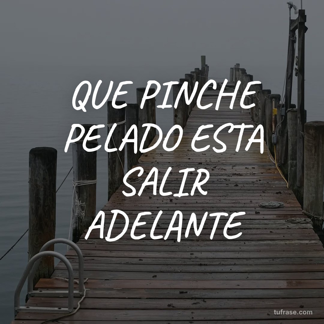QUE PINCHE PELADO ESTA SALIR ADELANTE