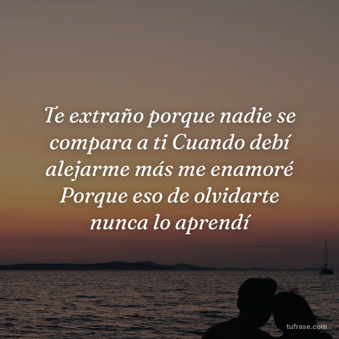 Te extraño porque nadie se compara a ti Cuando debí alejarme más me enamoré Porque eso de olvidarte nunca lo aprendí