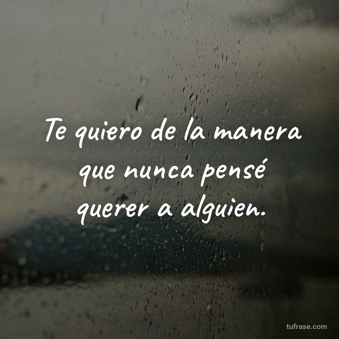 Te quiero de la manera que nunca pensé querer a alguien.