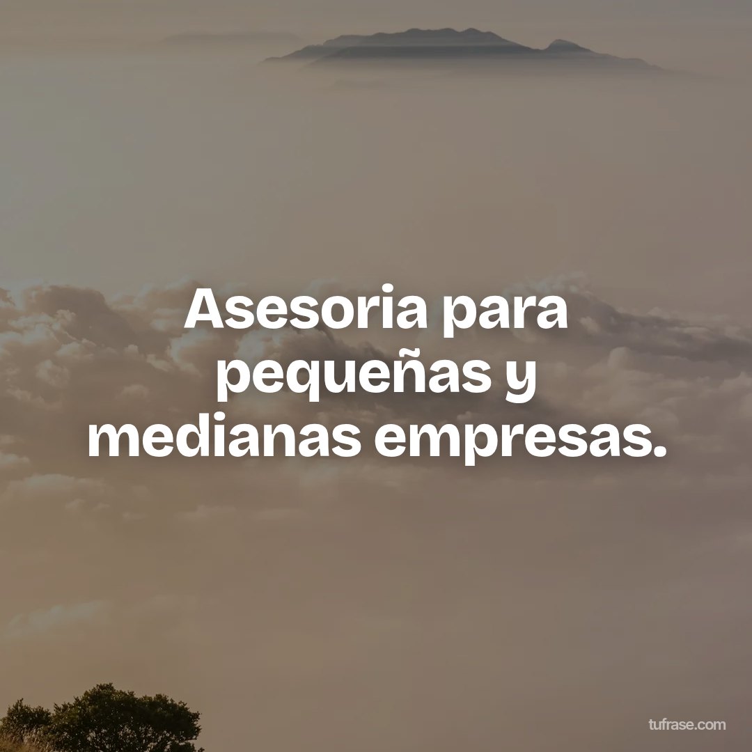 Asesoria para pequeñas y medianas empresas.