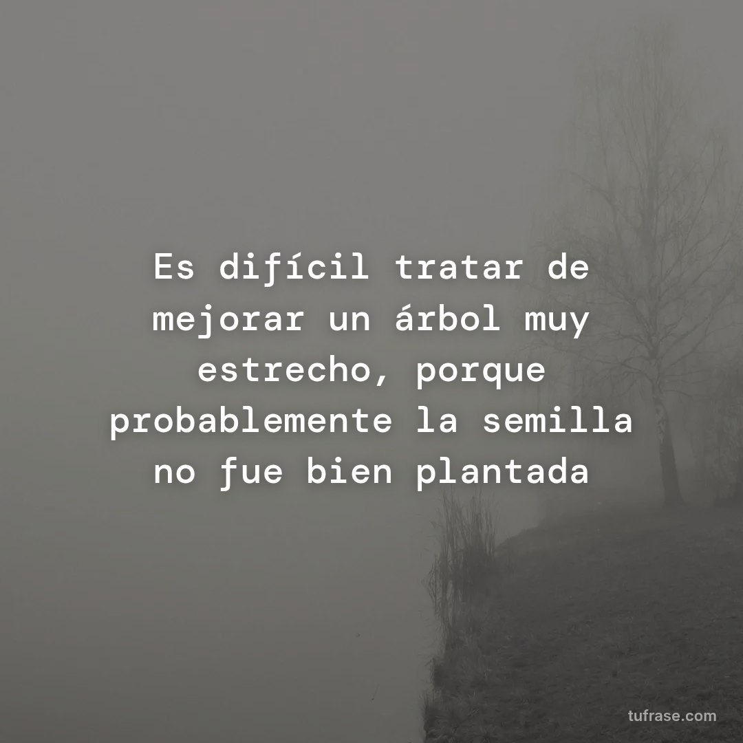 Es difícil tratar de mejorar un árbol muy estrecho, porque probablemente la semilla no fue bien plantada