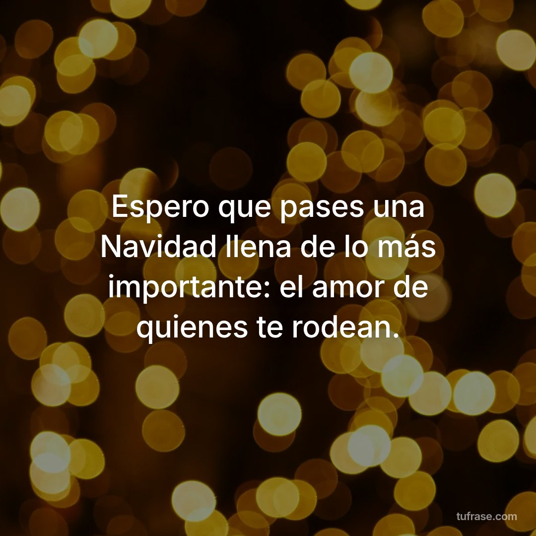 Espero que pases una Navidad llena de lo más importante: el amor de quienes te rodean.