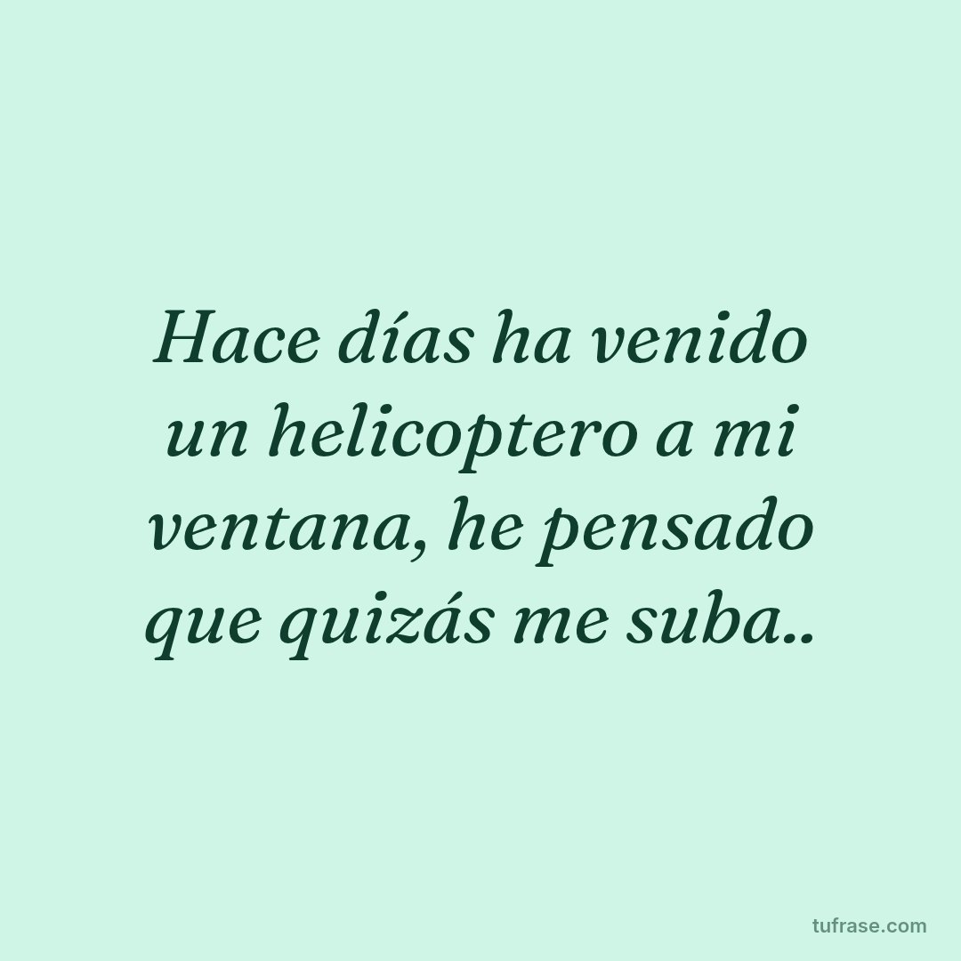 Hace días ha venido un helicoptero a mi ventana, he pensado que quizás me suba..