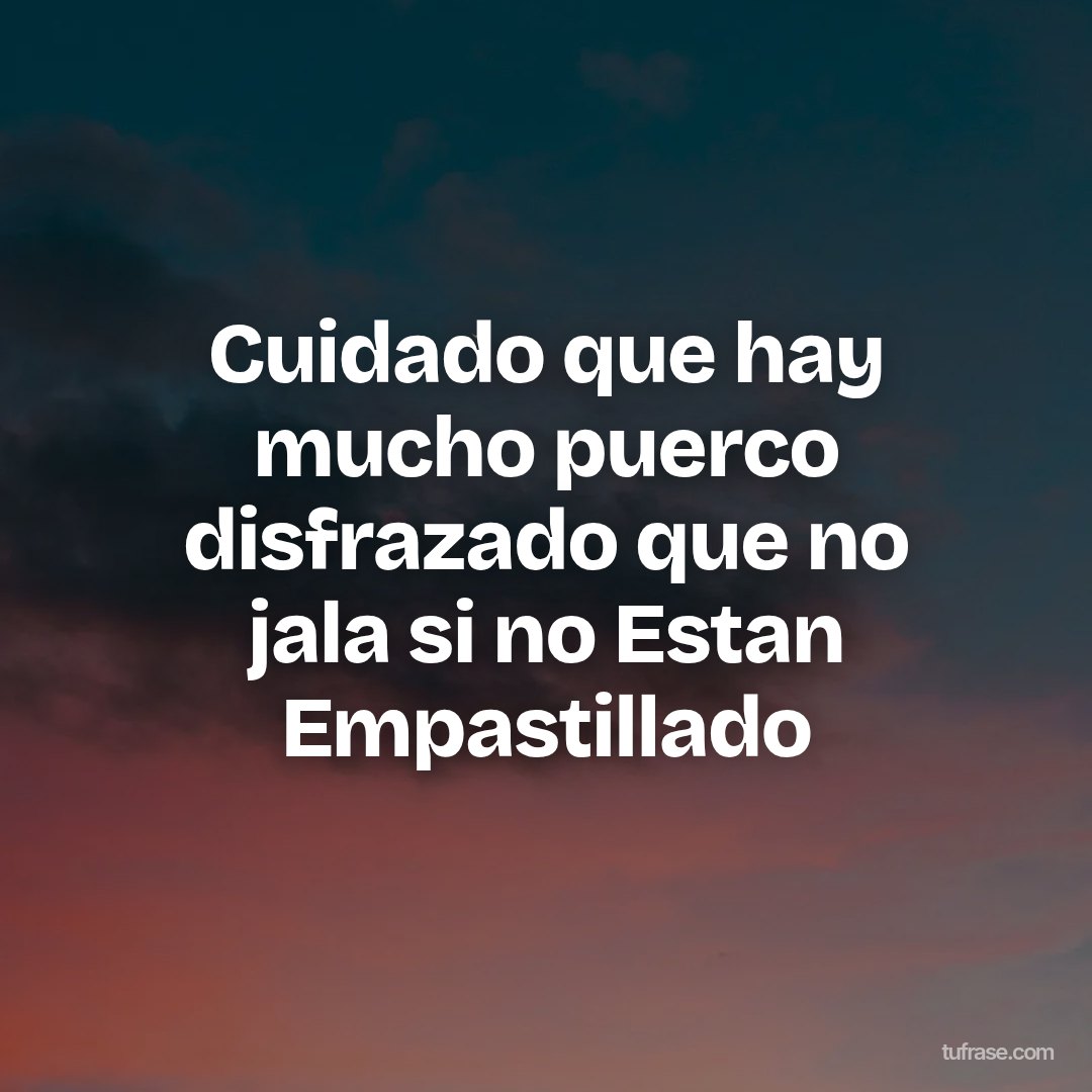 Cuidado que hay mucho puerco disfrazado que no jala si no Estan Empastillado