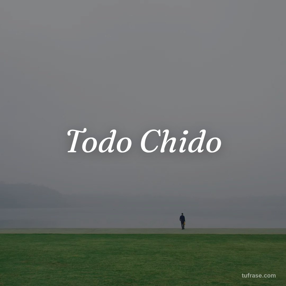 Todo Chido