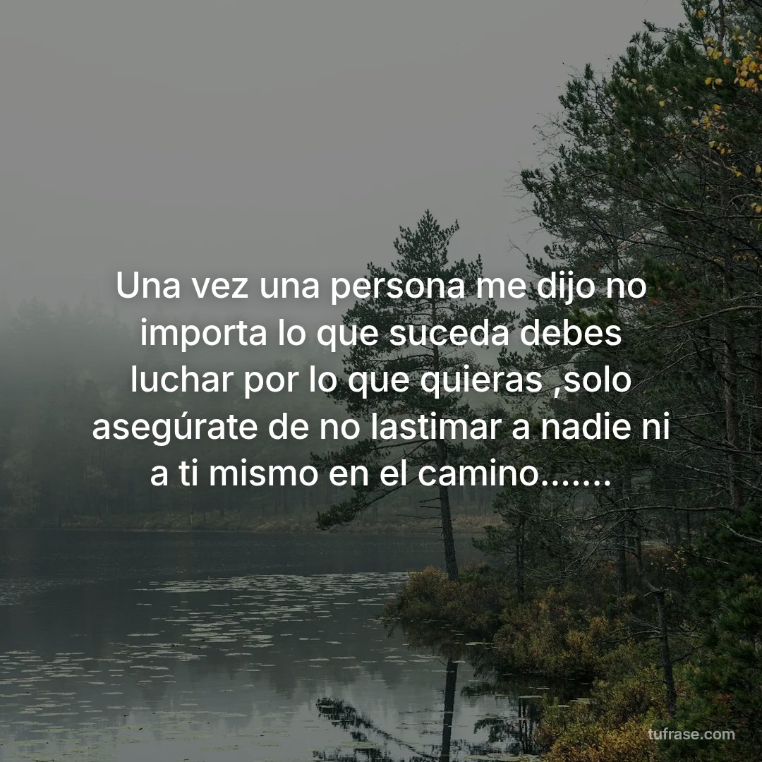 Una vez una persona me dijo no importa lo que suceda debes luchar por lo que quieras ,solo asegúrate de no lastimar a nadie ni a ti mismo en el camino.......