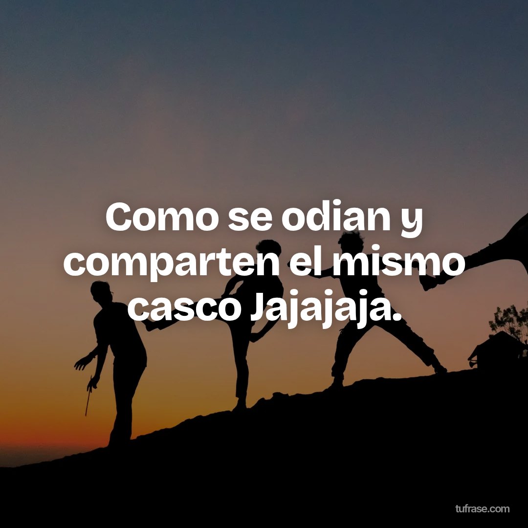 Como se odian y comparten el mismo casco Jajajaja.