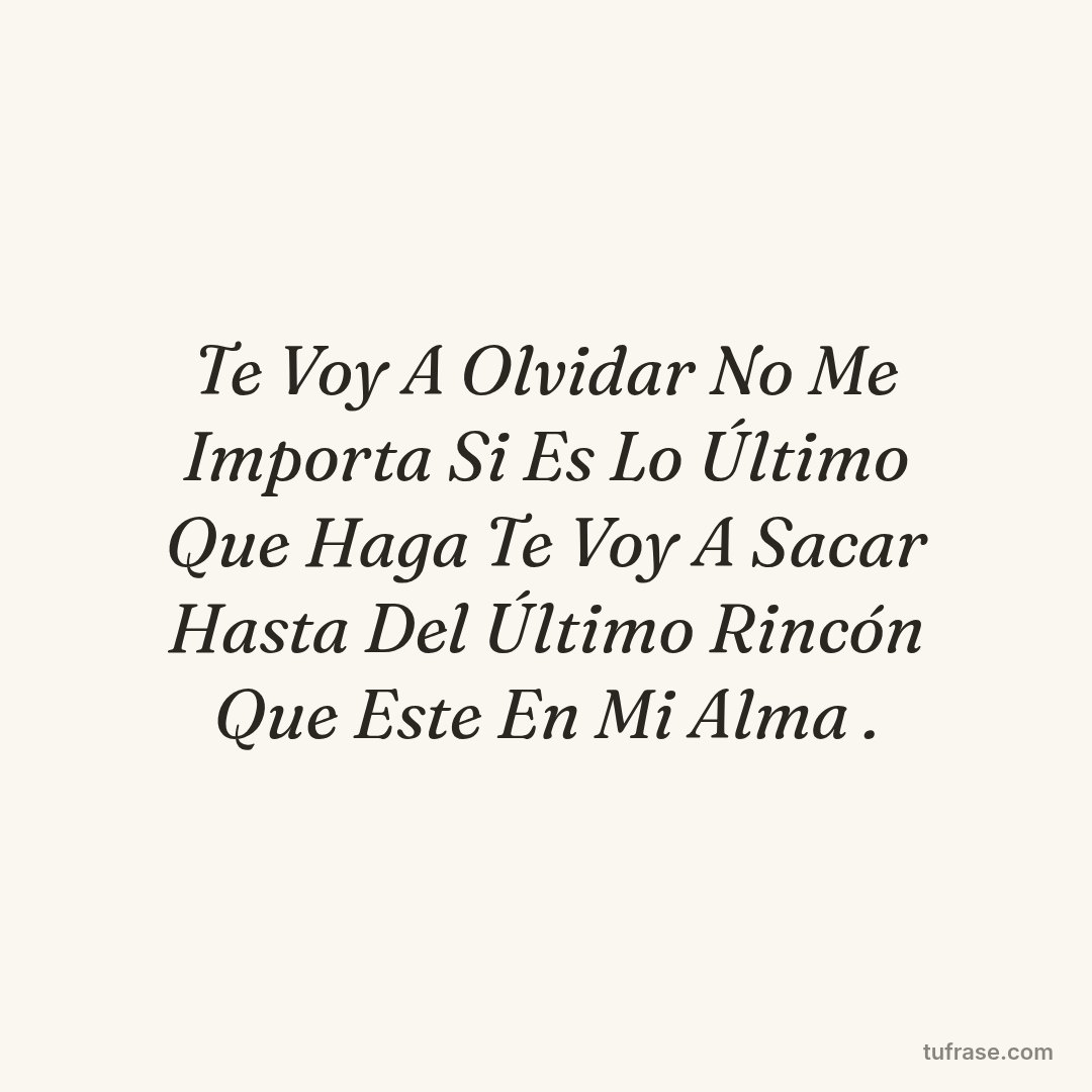 Te Voy A Olvidar No Me Importa Si Es Lo Último Que Haga Te Voy A Sacar Hasta Del Último Rincón Que Este En Mi Alma .