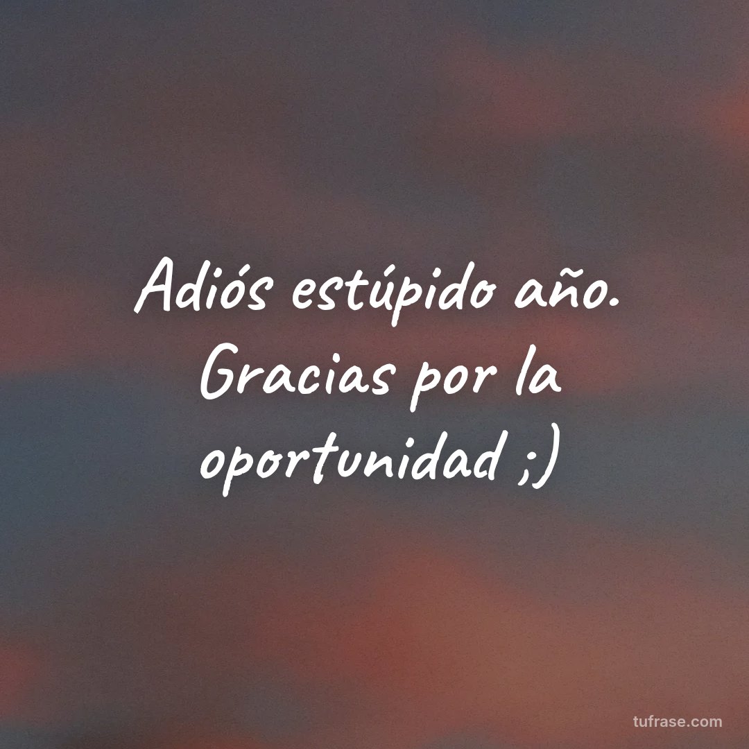 Adiós estúpido año. Gracias por la oportunidad ;)