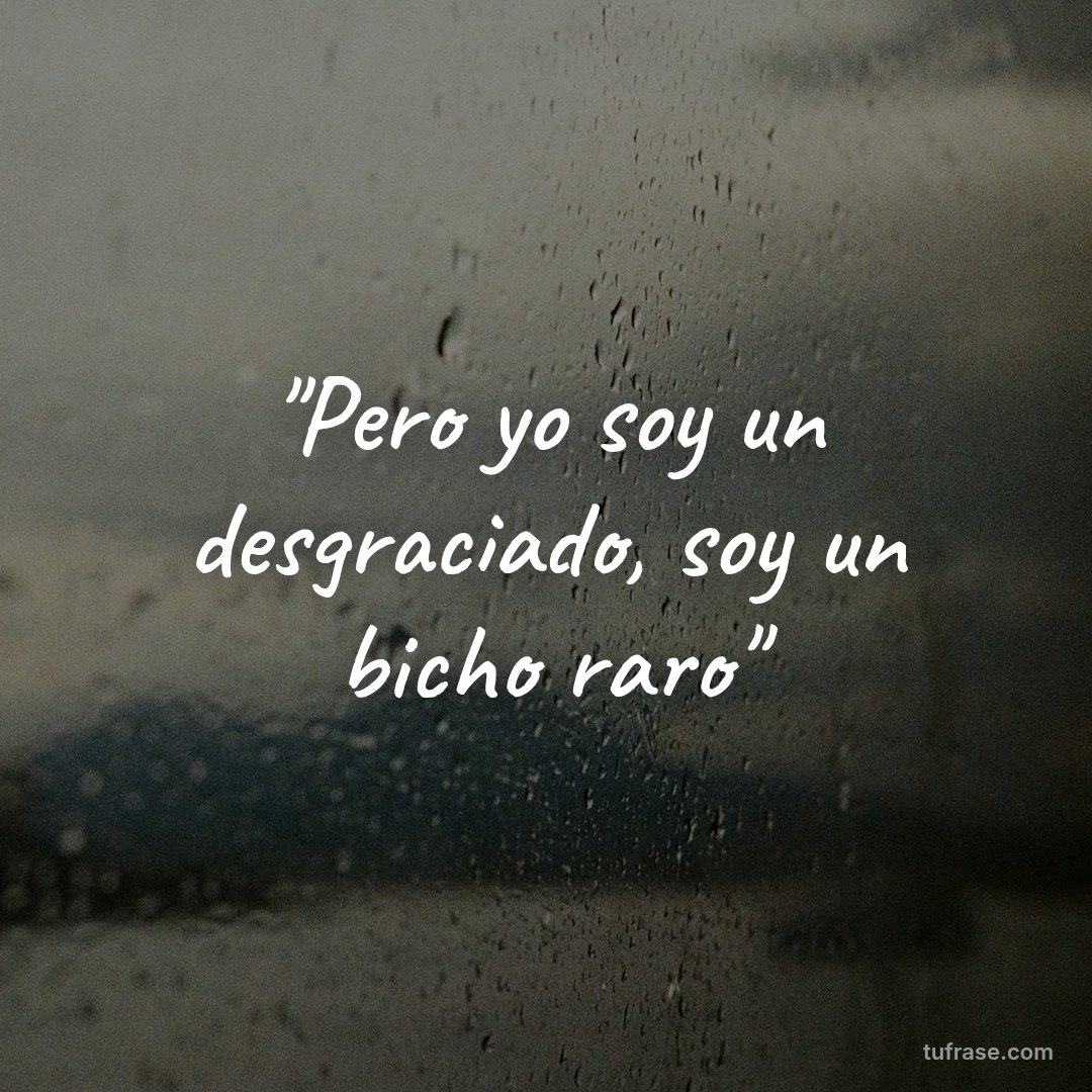 "Pero yo soy un desgraciado, soy un bicho raro"