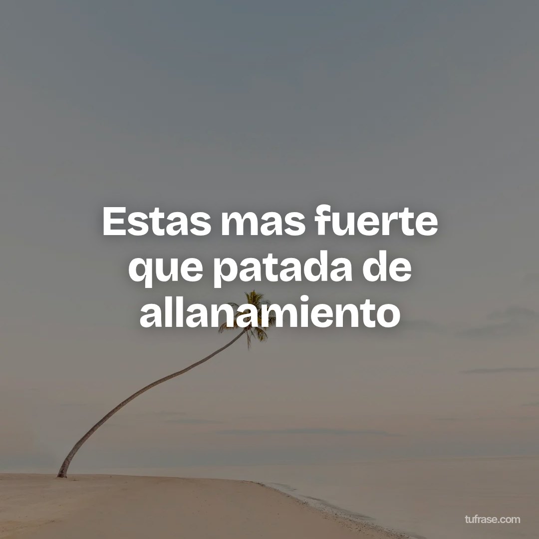 Estas mas fuerte que patada de allanamiento