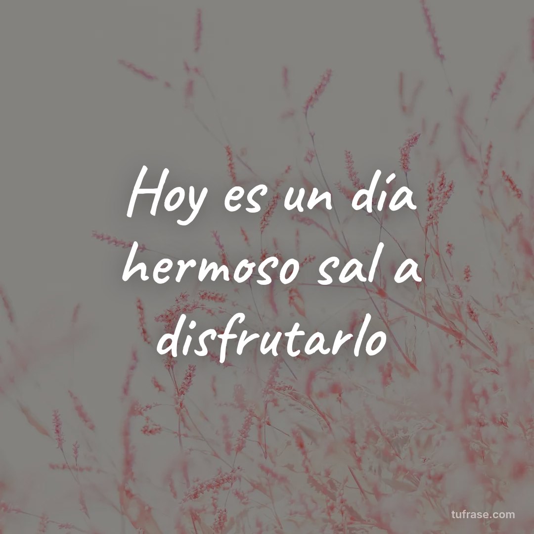 Hoy es un día hermoso sal a disfrutarlo