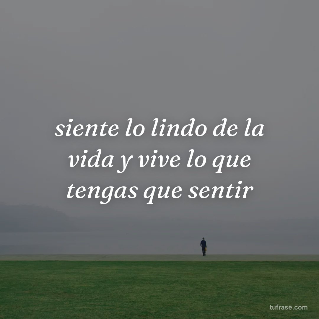 siente lo lindo de la vida y vive lo que tengas que sentir