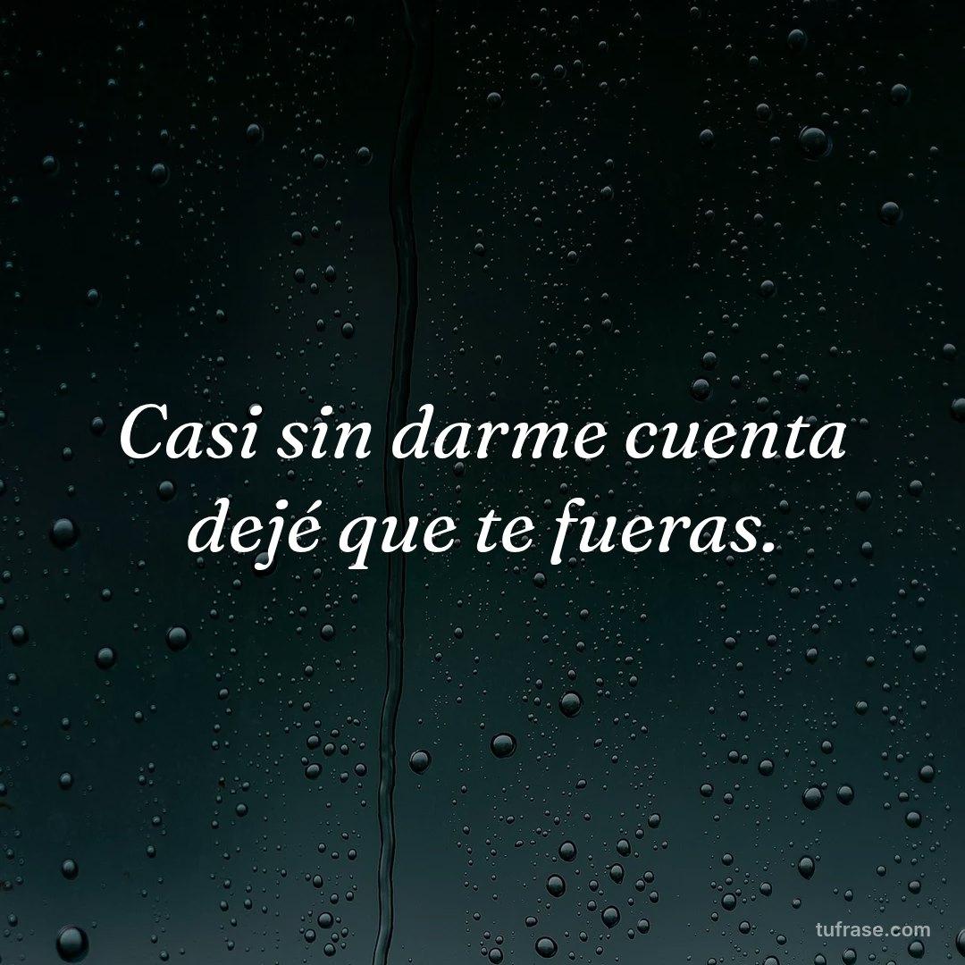 Casi sin darme cuenta dejé que te fueras.
