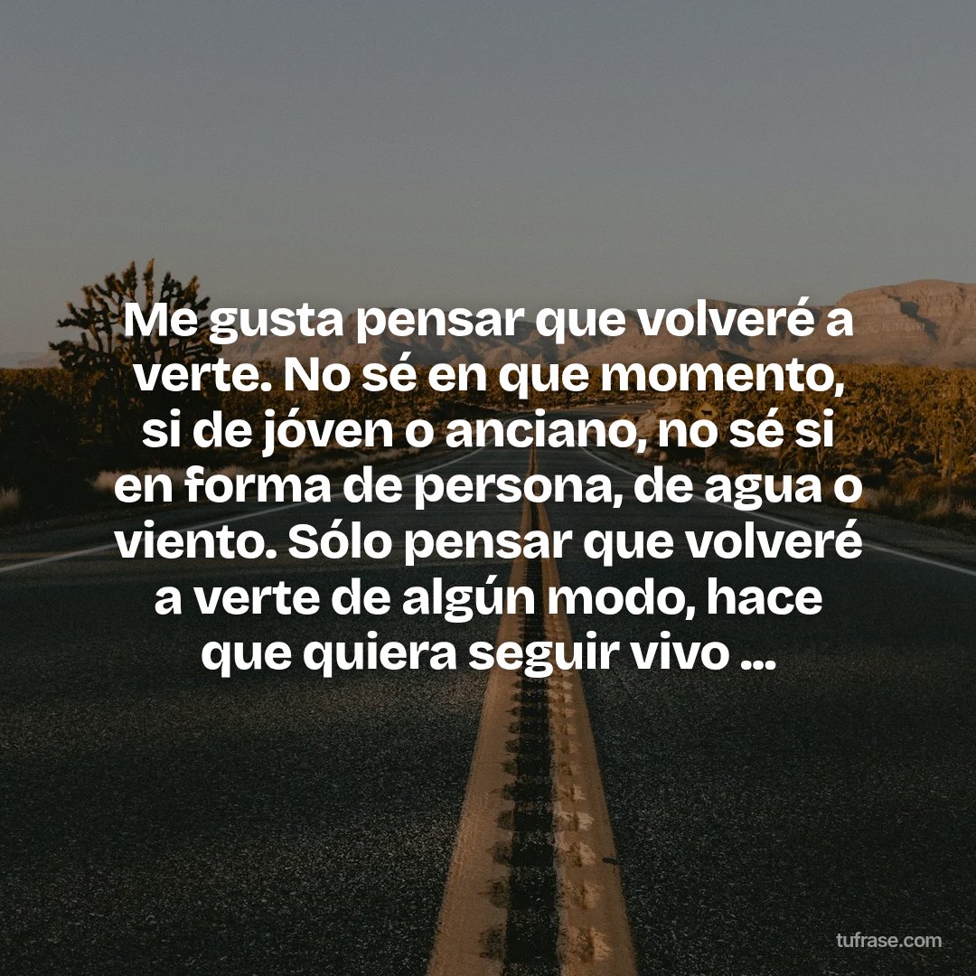 Me gusta pensar que volveré a verte. No sé en que momento, si de jóven o anciano, no sé si en forma de persona, de agua o viento. Sólo pensar que volveré a verte de algún modo, hace que quiera seguir vivo ...